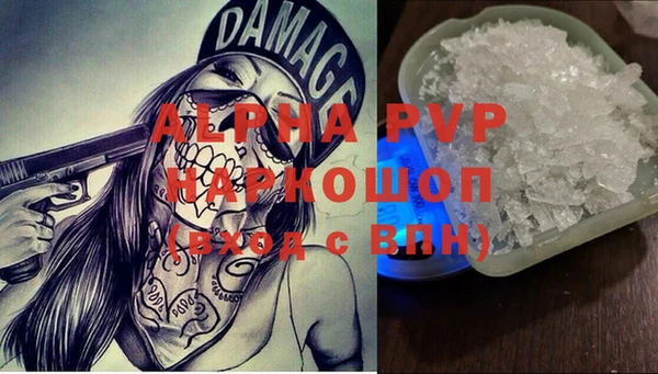 дмт Белокуриха