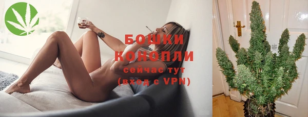 гидра Белоозёрский