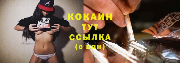 дмт Белокуриха
