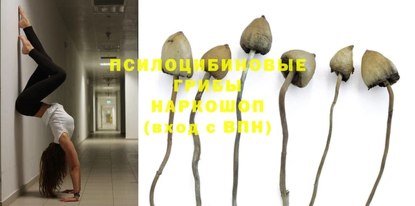 гидра Белоозёрский