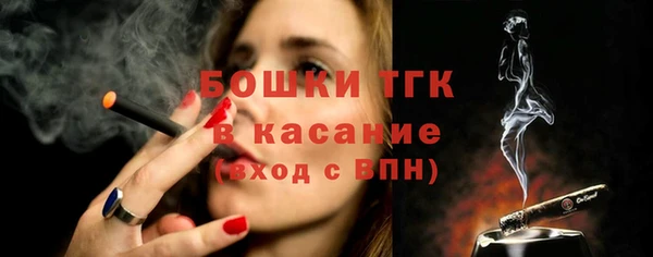 гидра Белоозёрский