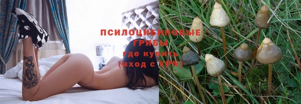 дмт Белокуриха