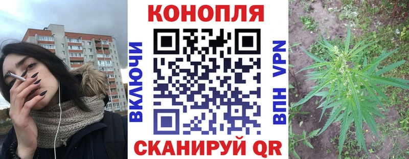 Каннабис OG Kush  хочу наркоту  Светлогорск 